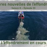 Effondrement climatique : l'ONU alerte sur la perte de biodiversité en Europe.