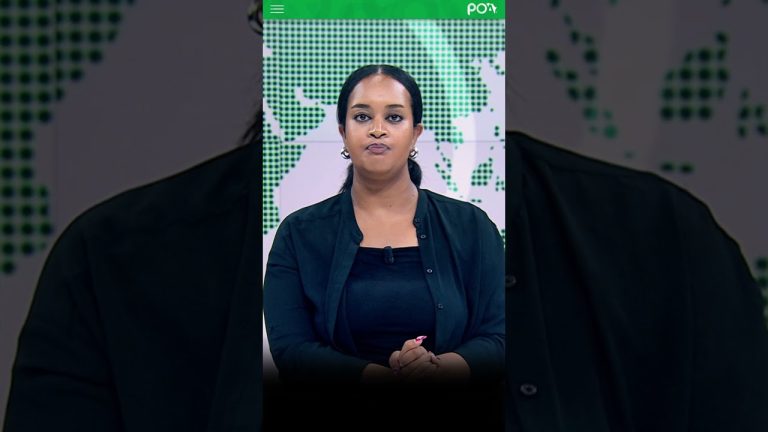 FIFA : Le président salue les infrastructures footballistiques de l'Algérie.