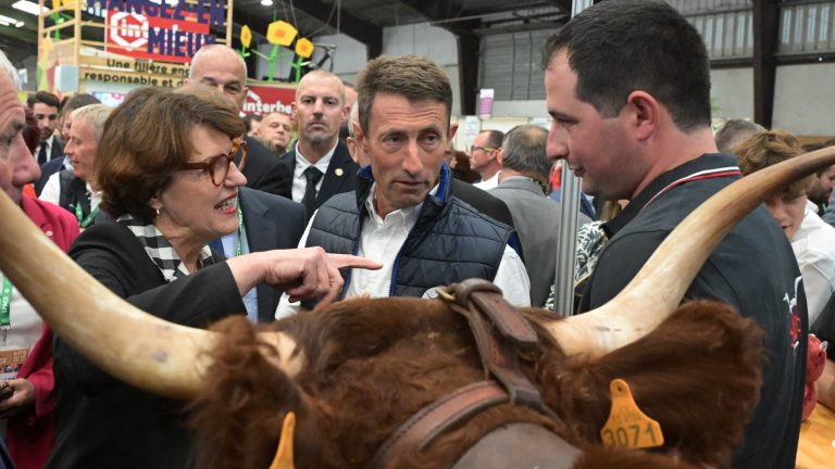 Éleveurs de Bretagne alertent la ministre de l&rsquo;Agriculture sur leur mal-être à Rennes.
