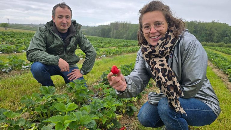 Rouverte, la cueillette de Champlain à la Queue-en-Brie après une longue fermeture.