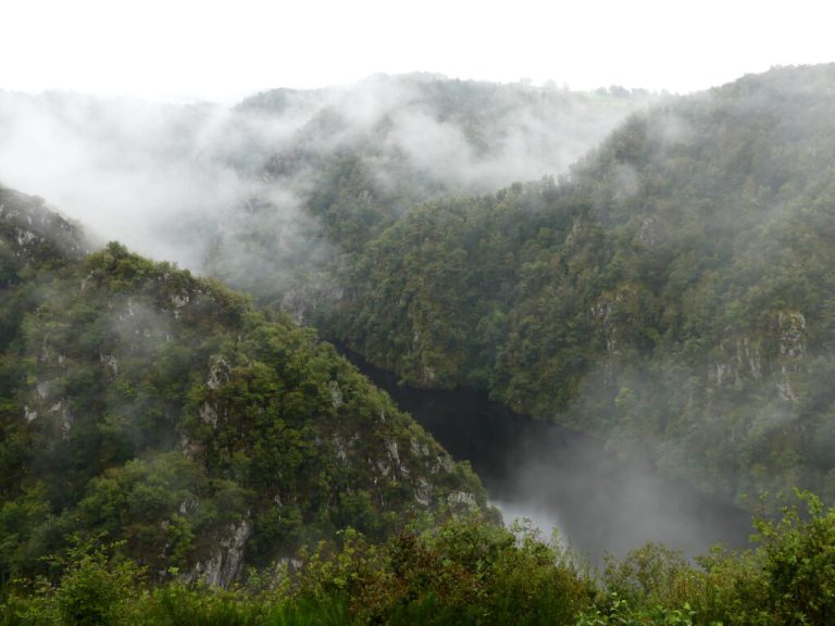 Accès aux plateformes de données de bio et géodiversité en Nouvelle-Aquitaine