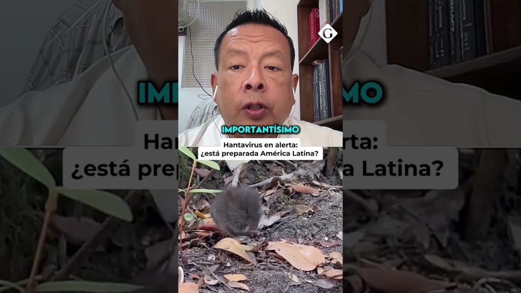 Hantavirus : l'OMS alerte sur les risques en Amérique Latine et les mesures à prendre