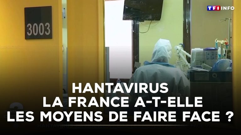 Hantavirus : la France prépare-t-elle ses ressources sanitaires pour faire face ?