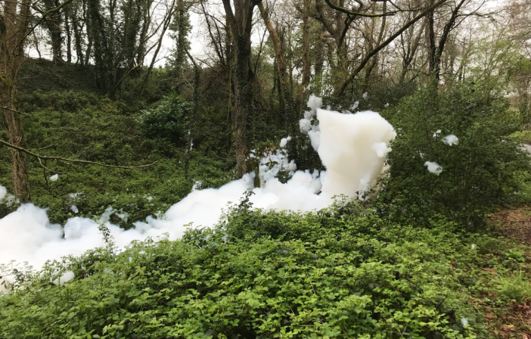 Mousse party à Guipavas : une fête non conforme aux réglementations locales.