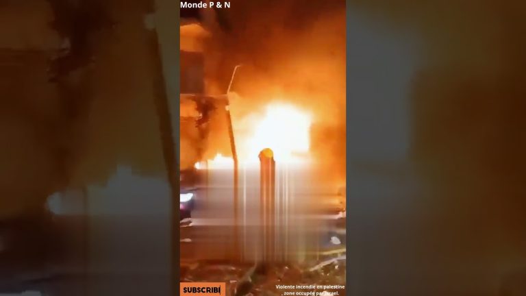 Incendie violent en Palestine occupée : Israël déploie des équipes de secours sur place