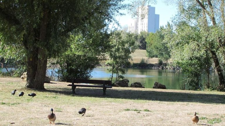 Viol au parc Nord des Ulis : un suspect mis en examen et placé en détention.