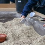 Journées Européennes de l&rsquo;Archéologie 2026 : événements organisés dans 20 pays européens.