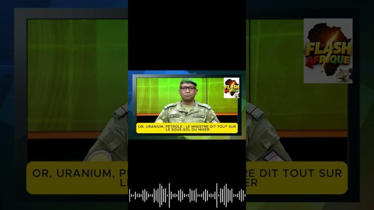Le Ministre des Mines du Niger aborde la situation de l'uranium nigérien en conférence.