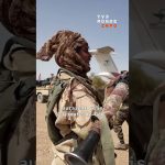 Le camp stratégique de Tessalit au Mali désormais sous contrôle du FLA.