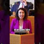 Le gouvernement français accusé de désinformation par des citoyens mécontents.