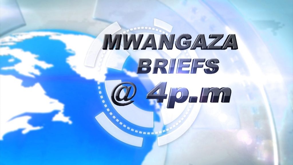 Mwangaza News Brief : Analyse des enjeux politiques en cours dans la région avec Daisy Paul
