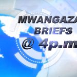 Mwangaza News Brief : Analyse des enjeux politiques en cours dans la région avec Daisy Paul