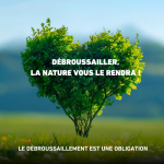 Débroussaillage préventif : une mesure essentielle pour protéger les habitations en France.