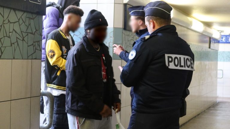 Immigration illégale : la gauche du Val-de-Marne critique une chasse inspirée de l&rsquo;ICE américain.