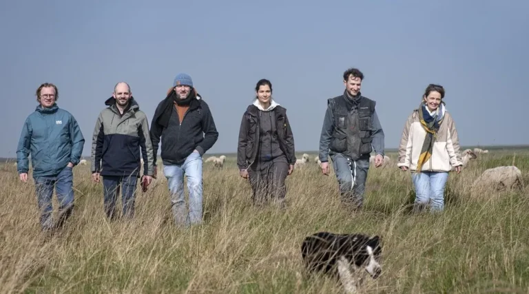 Des chefs bretons organisent un repas à la bergerie pour le guide Pur Beurre.