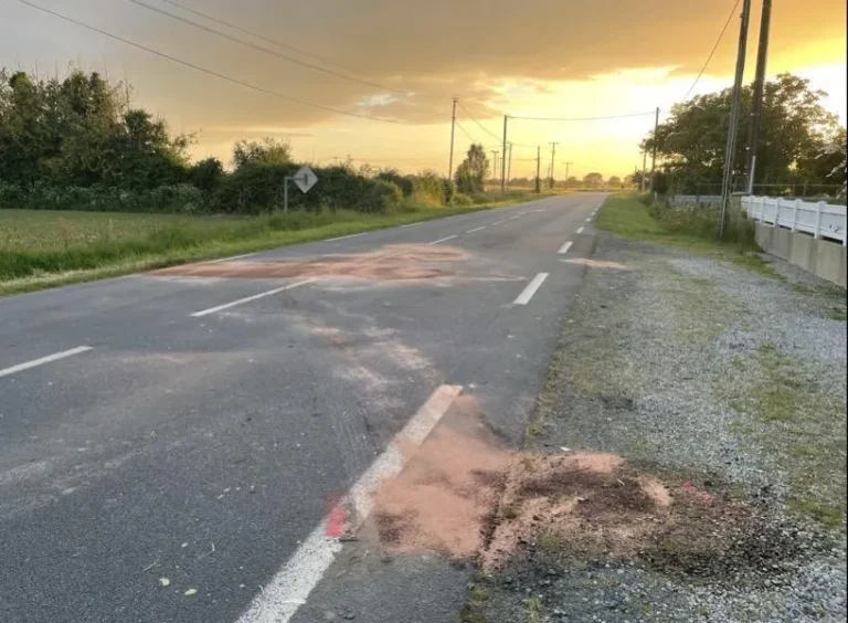 Un mort et deux blessés graves dans un accident de la route à la frontière entre Loire-Atlantique et Maine-et-Loire