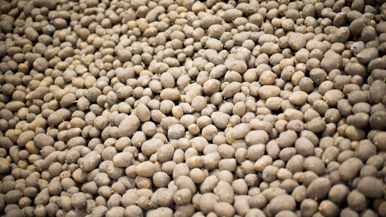 Distribution de vingt tonnes de pommes de terre à Poissy pour lutter contre le mal manger