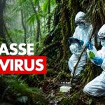 Pandémie : Des scientifiques américains traquent les virus émergents en laboratoire