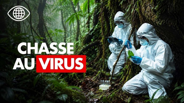 Pandémie : Des scientifiques américains traquent les virus émergents en laboratoire