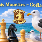 Tournois rapides Mouettes et Goélands : résultats et classements des équipes en compétition.