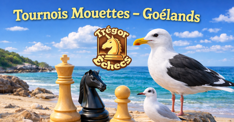 Tournois rapides Mouettes et Goélands : résultats et classements des équipes en compétition.