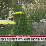 Police abattent un homme armé d'un couteau après qu'il a blessé sa femme à Jamestown.
