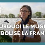 Pourquoi le muguet est-il offert le 1er mai en France ? Explications et traditions.