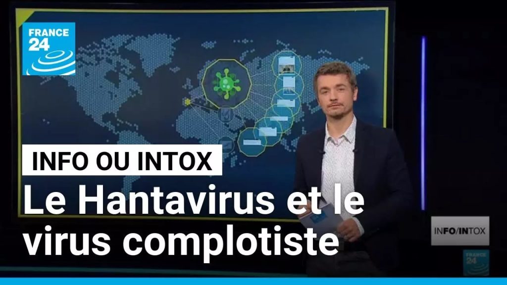 Propagation du Hantavirus : alertes en France sur les risques et mesures sanitaires