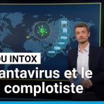 Propagation du Hantavirus : alertes en France sur les risques et mesures sanitaires