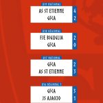 Résultats des élections de dimanche : les partis politiques en tête des suffrages en France.