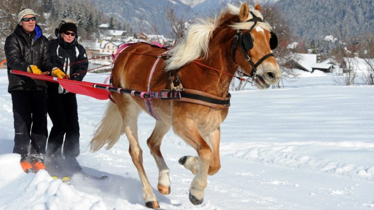 Vacances de Noël : Que faire à la montagne si on ne peut pas skier ?
