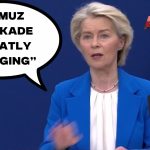 UE : Von der Leyen qualifie le blocus du détroit d'Hormuz de « très dommageable » pour la région