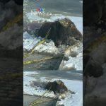 Une entreprise de remorquage en Saskatchewan sauve un élan piégé dans la glace.