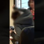 Une femme demande à contacter sa mère avant l'arrivée des gendarmes après un vol.
