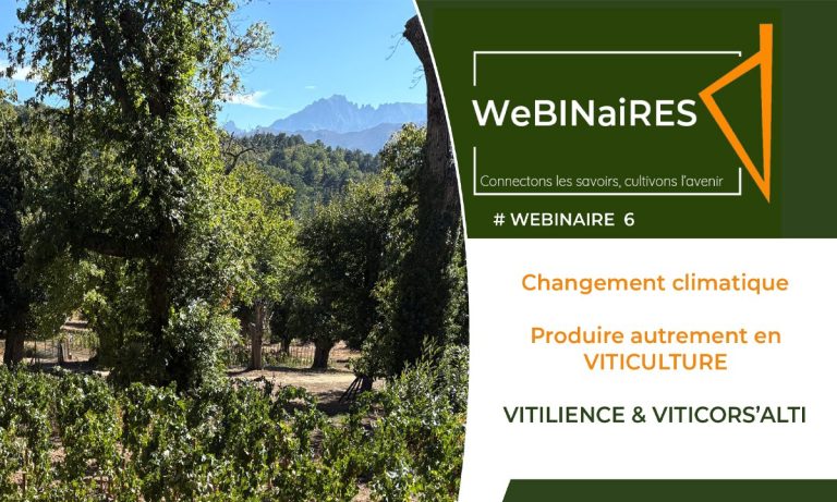 Replay de l&rsquo;émission « Produire autrement en viticulture » : enjeux et pratiques en France.