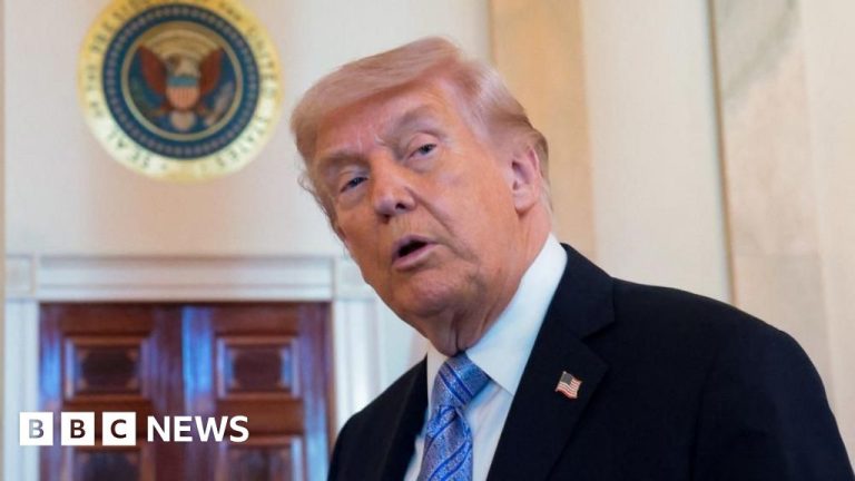 Trump annonce une pause temporaire du projet &lsquo;Project Freedom&rsquo;