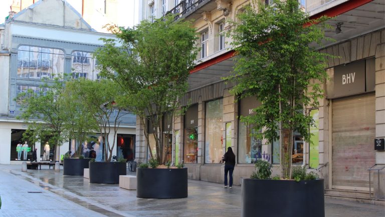 Installation de bacs arborés rue de la Liberté : une initiative de la municipalité locale.