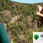 Un projet de panneaux solaires suspendu en France pour préserver une forêt menacée.