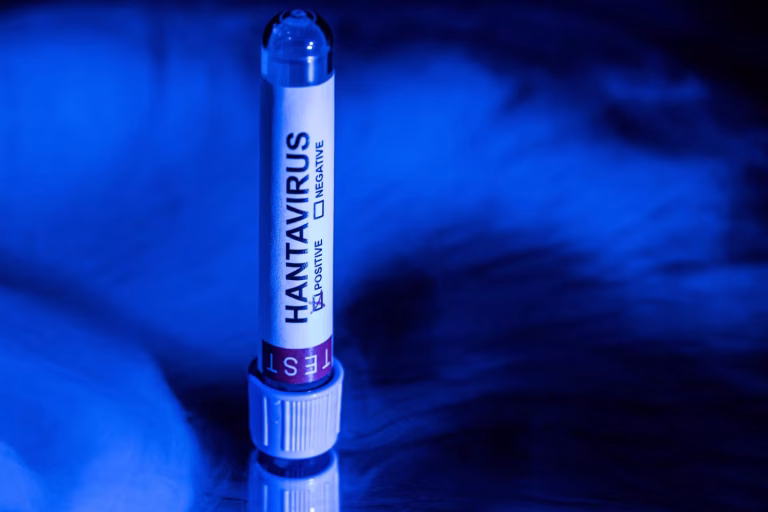 Hantavirus : Les réseaux sociaux, hôtes de la désinformation médicale