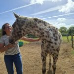 Charlotte Rondeau : Le bien-être des chevaux au cœur de son projet de vie