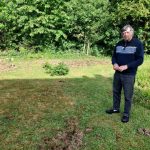 Incursions de sangliers dans les jardins de Seine-et-Marne : des dégâts signalés.
