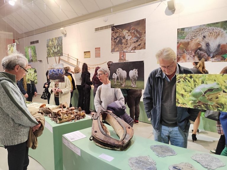 Exposition célébrant les 20 ans des Muséales : un parcours à découvrir en France.