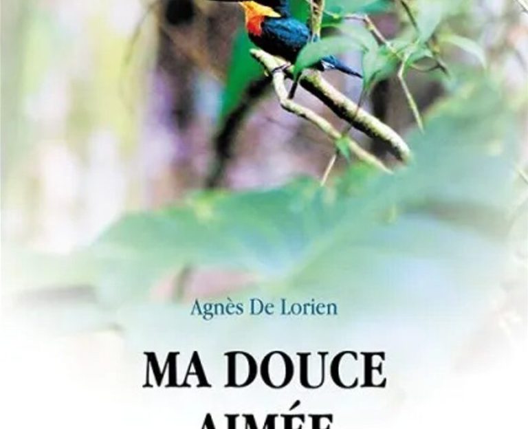 “Ma douce aimée” : l’histoire d’une femme déterminée à fuir un enfer conjugal