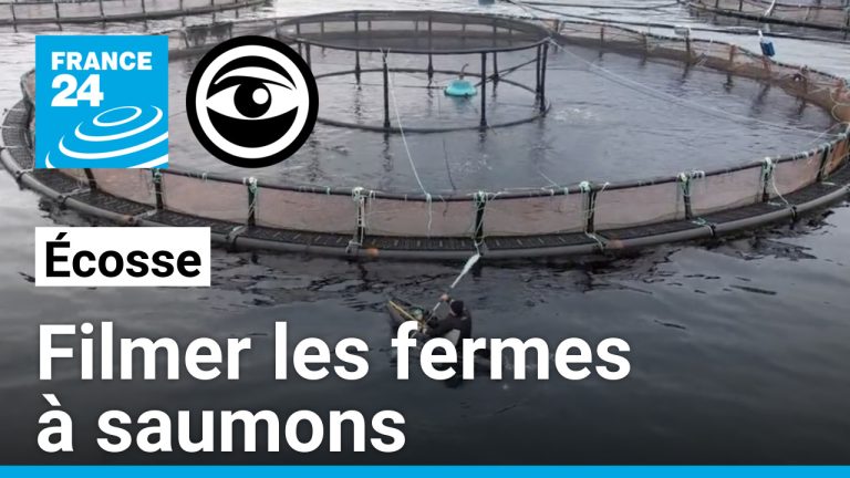 L&rsquo;activiste critique les pratiques de l&rsquo;industrie du saumon en Écosse et leurs conséquences environnementales.