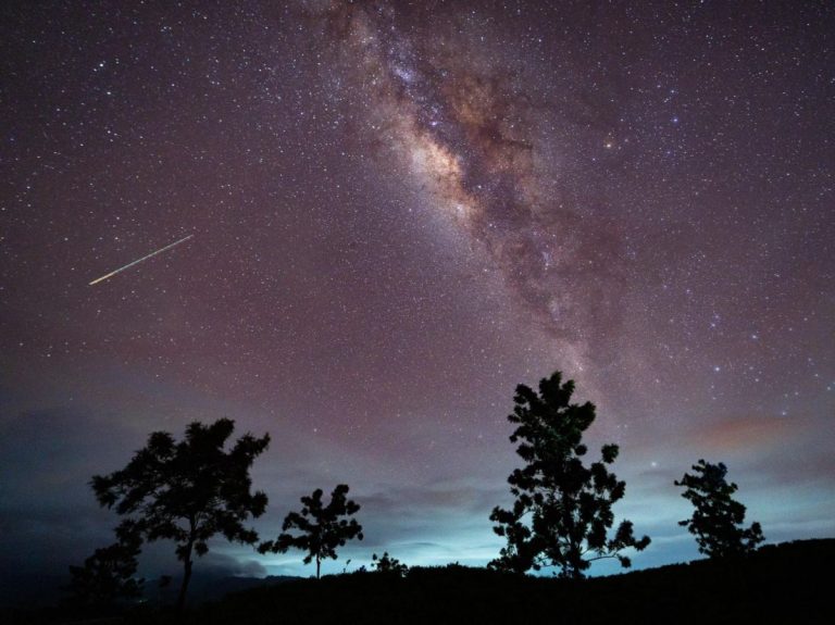 Éta Aquarides 2026 : Observation des étoiles filantes issues de la comète de Halley.