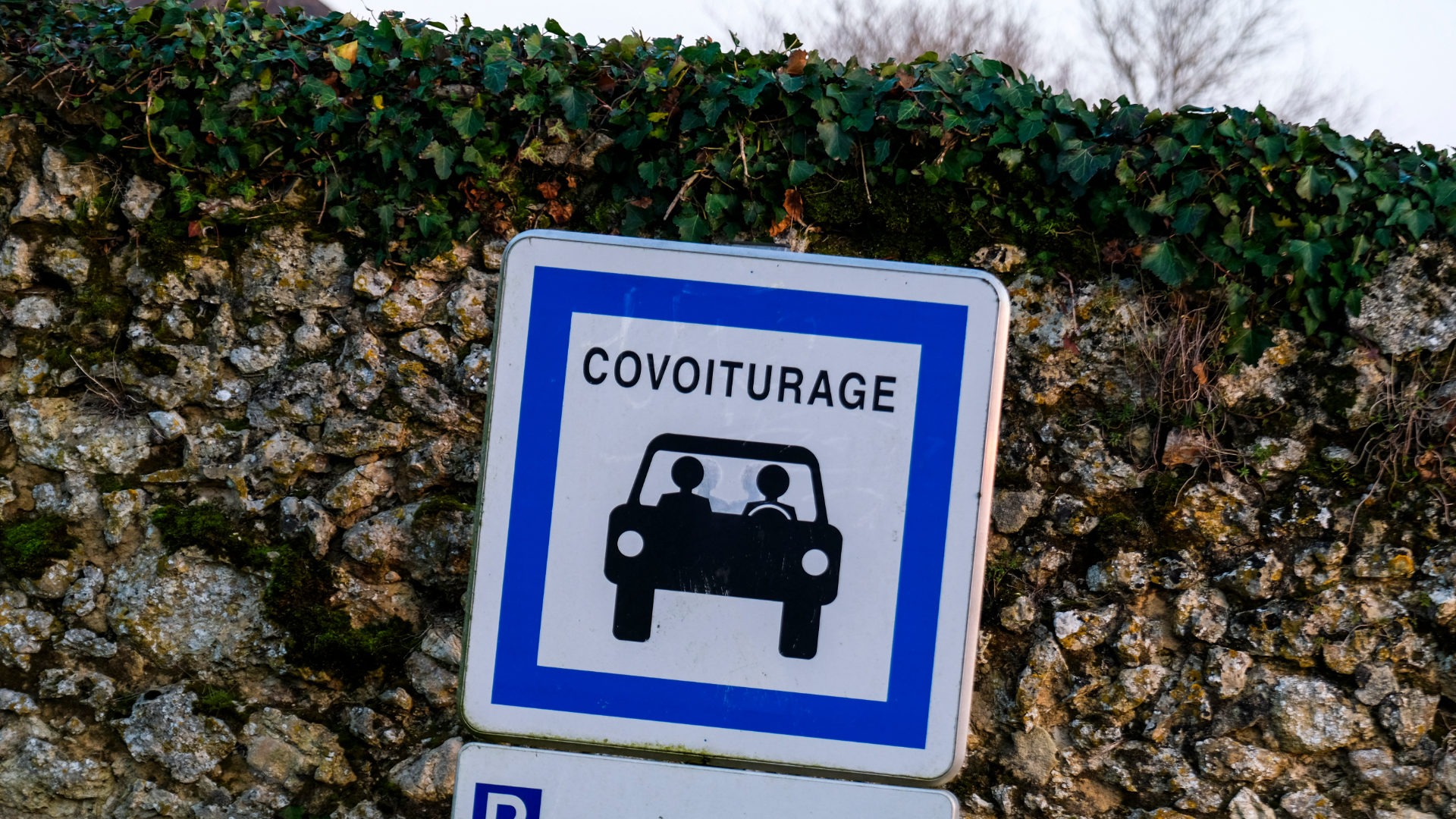 Les défis du covoiturage face à la croissance des services de transport en commun en France.