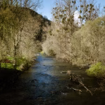 La Sarthe préserve ses beautés naturelles et son patrimoine historique près du Mans.