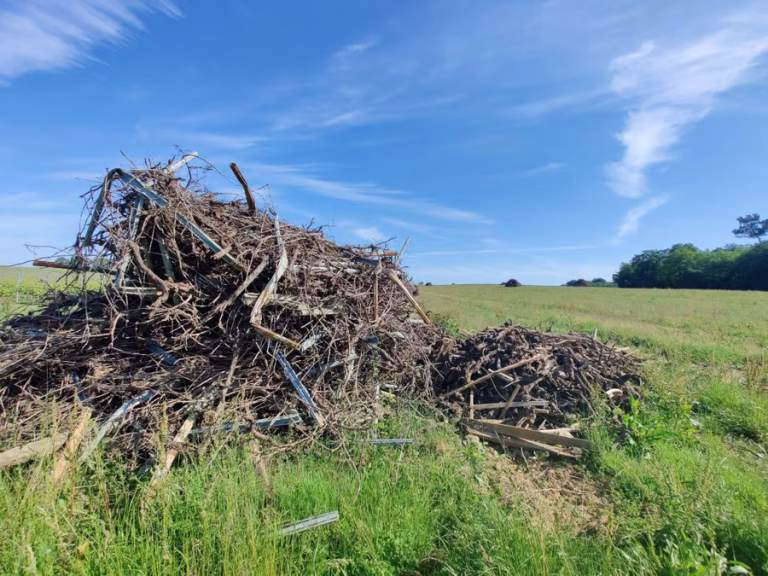 Rachat des vignes de Bordeaux par une foncière viticole : enjeux et implications sectorielles.