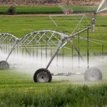 Irrigation et biodiversité : les enjeux du projet de loi d&rsquo;urgence agricole en France