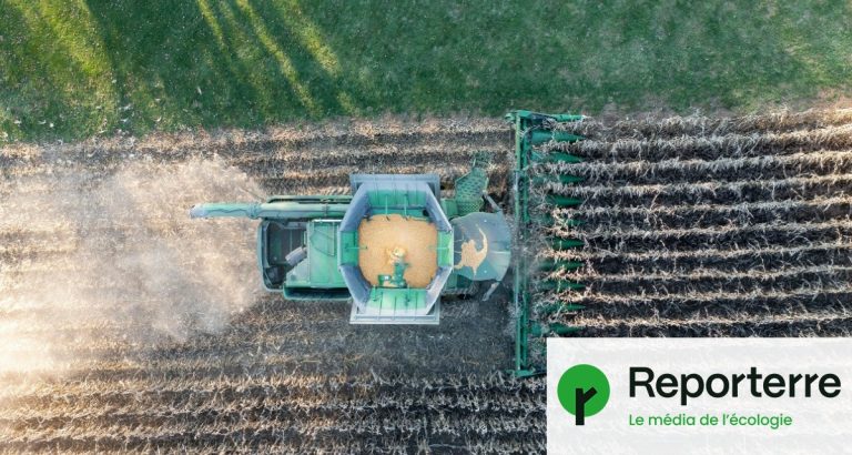 La France utilise des pesticides interdits par l’Union européenne depuis plusieurs années.